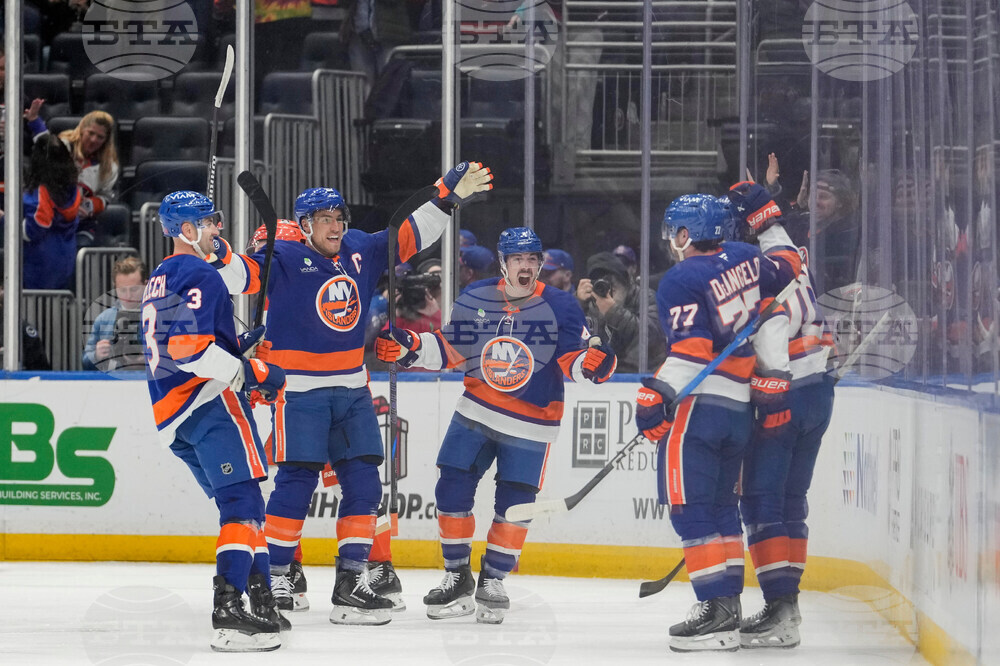 Ducks Islanders Hockey