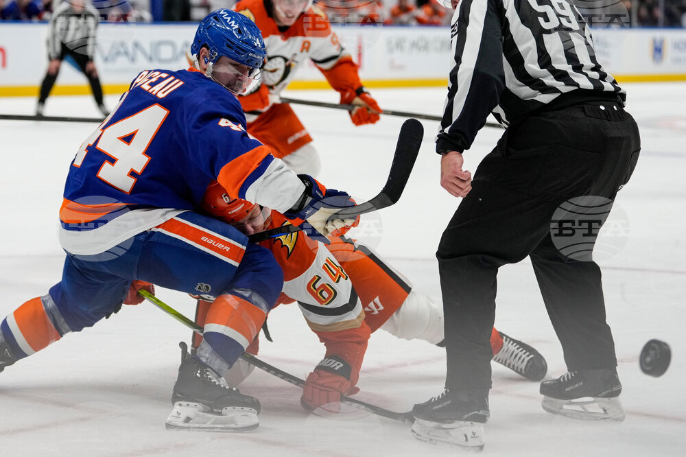 Ducks Islanders Hockey