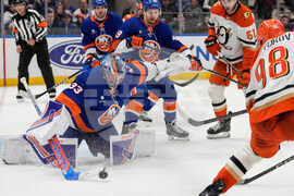 Ducks Islanders Hockey