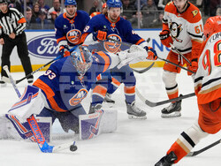 Ducks Islanders Hockey