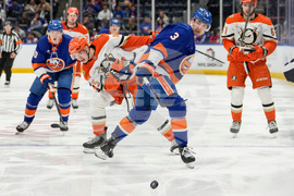 Ducks Islanders Hockey