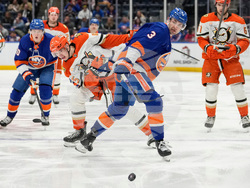 Ducks Islanders Hockey