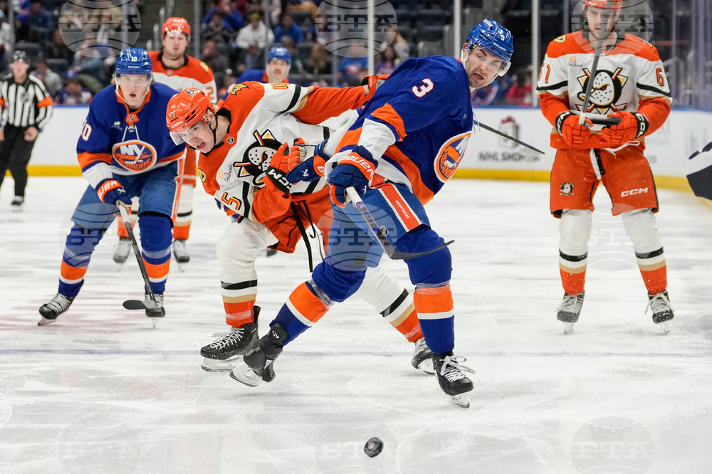 Ducks Islanders Hockey