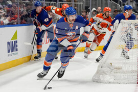 Ducks Islanders Hockey