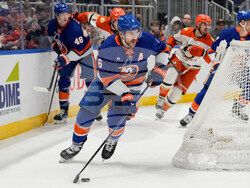 Ducks Islanders Hockey