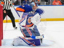 Ducks Islanders Hockey