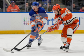 Ducks Islanders Hockey