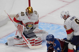 Panthers Avalanche Hockey