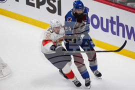 Panthers Avalanche Hockey