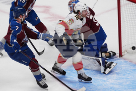 Panthers Avalanche Hockey