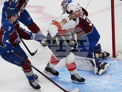 Panthers Avalanche Hockey