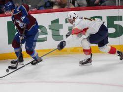 Panthers Avalanche Hockey