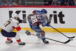 Panthers Avalanche Hockey