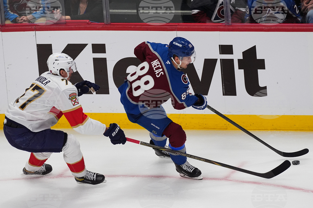 Panthers Avalanche Hockey