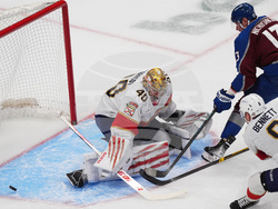 Panthers Avalanche Hockey