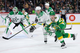Stars Wild Hockey