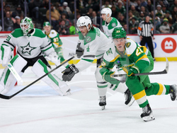 Stars Wild Hockey