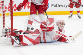 Red Wings Oilers Hockey