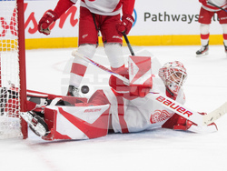 Red Wings Oilers Hockey