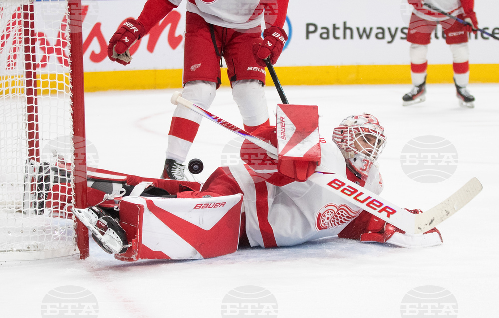 Red Wings Oilers Hockey