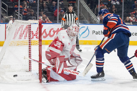 Red Wings Oilers Hockey