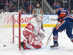 Red Wings Oilers Hockey