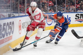 Red Wings Oilers Hockey
