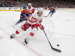 Red Wings Oilers Hockey
