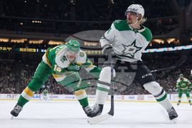Stars Wild Hockey