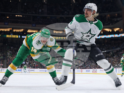 Stars Wild Hockey