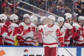 Red Wings Oilers Hockey