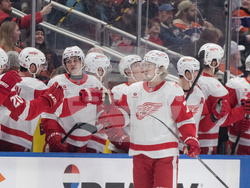 Red Wings Oilers Hockey