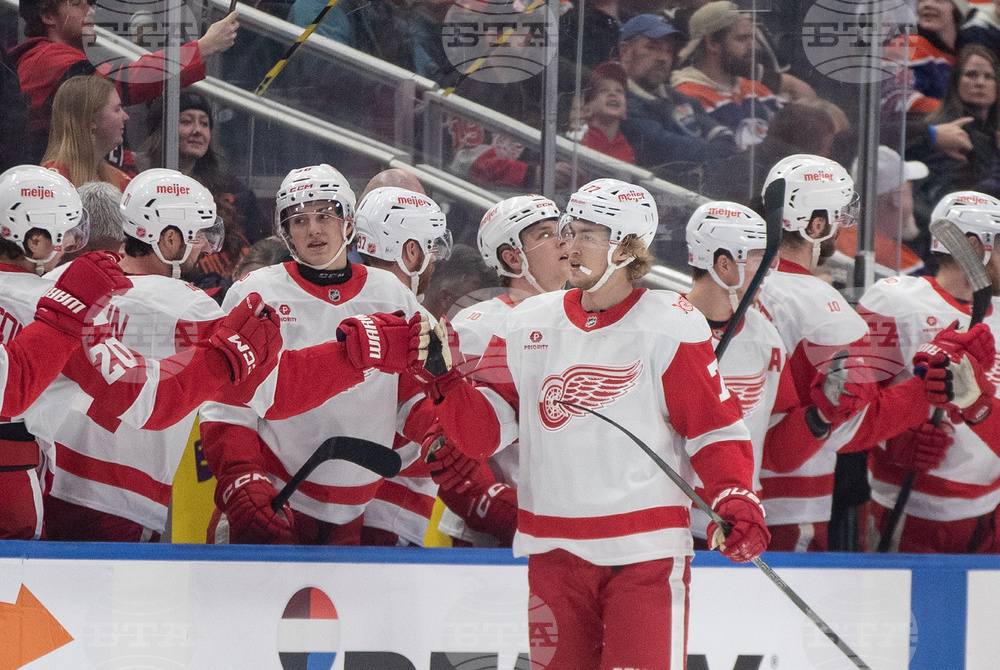 Red Wings Oilers Hockey