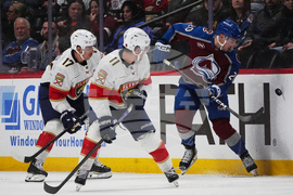 Panthers Avalanche Hockey