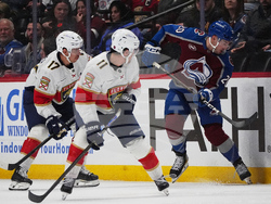 Panthers Avalanche Hockey