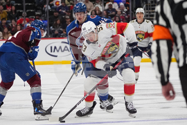 Panthers Avalanche Hockey