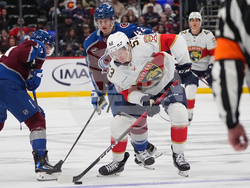 Panthers Avalanche Hockey