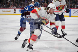 Panthers Avalanche Hockey