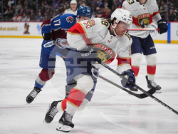 Panthers Avalanche Hockey