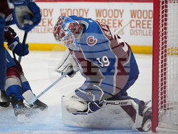 Panthers Avalanche Hockey