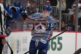 Panthers Avalanche Hockey