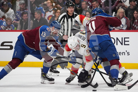 Panthers Avalanche Hockey