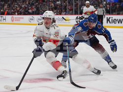 Panthers Avalanche Hockey