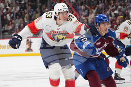 Panthers Avalanche Hockey