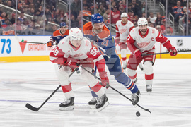 Red Wings Oilers Hockey