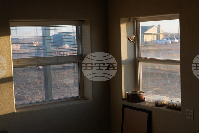 APTOPIX Digital Cage Exiled Official Photo Essay