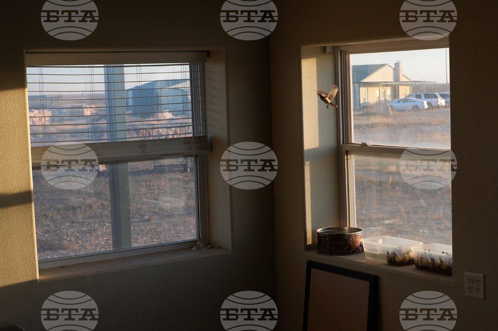 APTOPIX Digital Cage Exiled Official Photo Essay