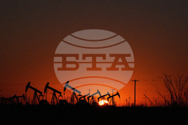 Digital Cage Exiled Official Photo Essay