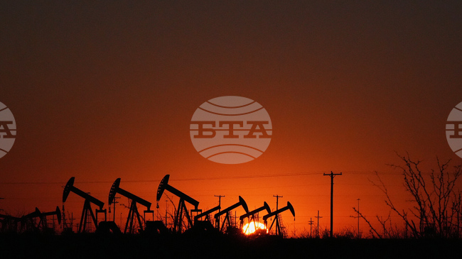 Петролът леко поскъпва след най-големия годишен спад от 2020 г. 