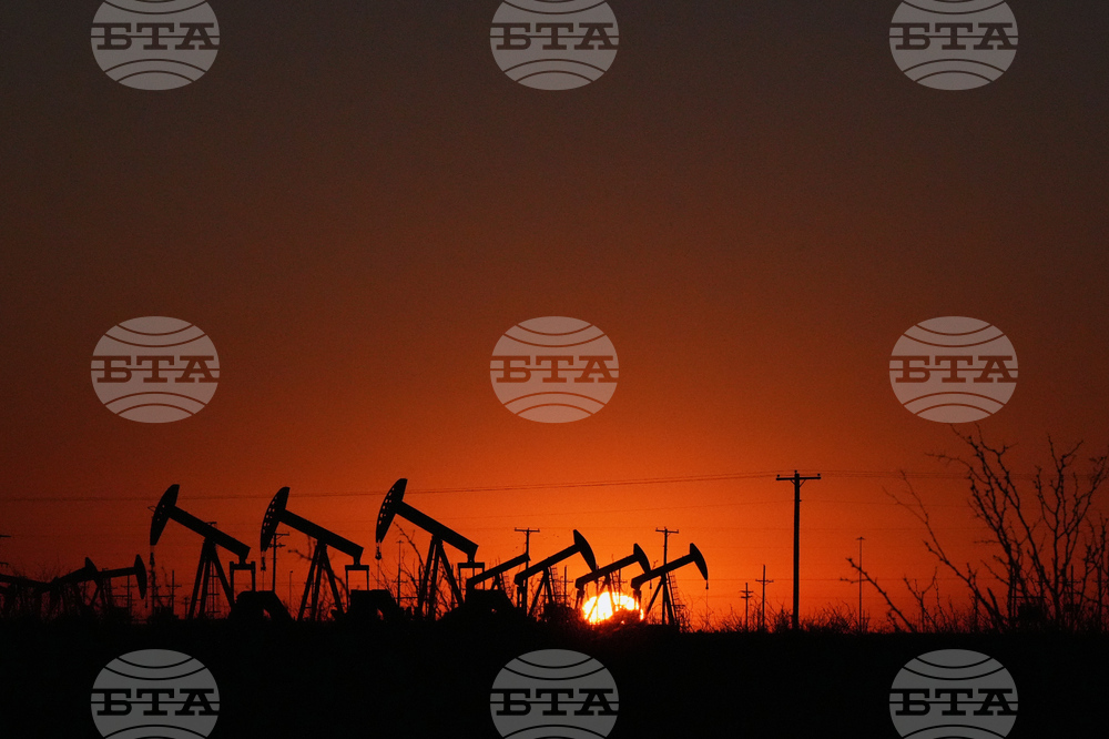 Digital Cage Exiled Official Photo Essay